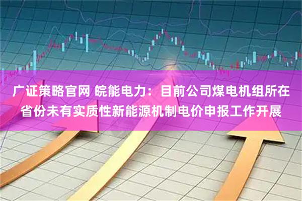 广证策略官网 皖能电力：目前公司煤电机组所在省份未有实质性新能源机制电价申报工作开展