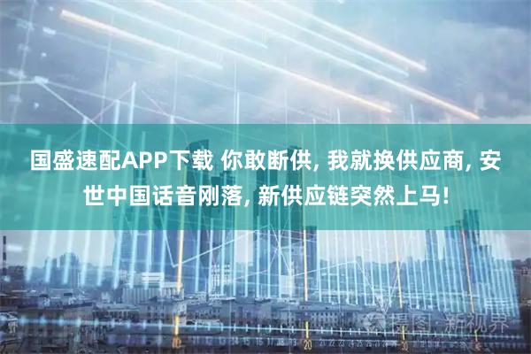 国盛速配APP下载 你敢断供, 我就换供应商, 安世中国话音刚落, 新供应链突然上马!