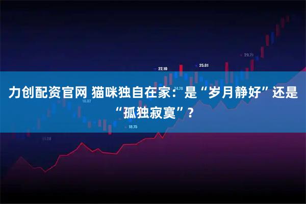 力创配资官网 猫咪独自在家：是“岁月静好”还是“孤独寂寞”？