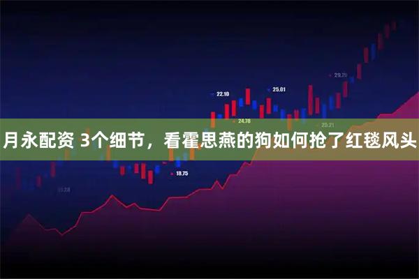月永配资 3个细节，看霍思燕的狗如何抢了红毯风头